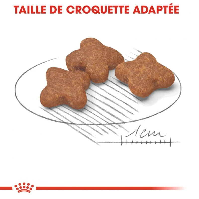 :ROYAL CANIN Mini Adulte 8+ 2kg – Image 3