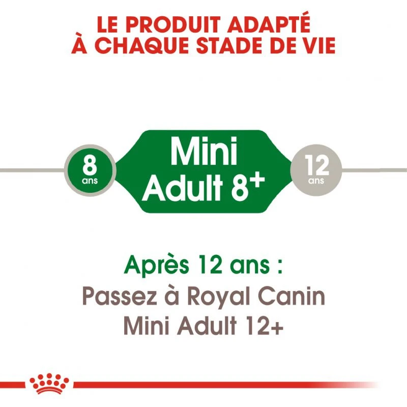 :ROYAL CANIN Mini Adulte 8+ 2kg – Image 4