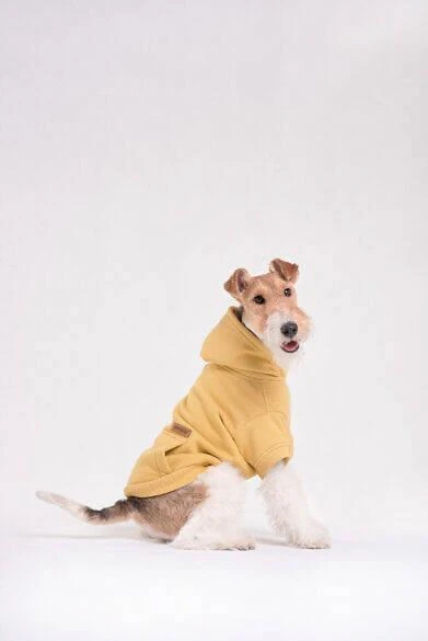 AMIPLAY Sweat-shirt à Capuche Texas Noir 45cm – Image 2