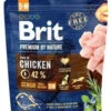Brit Premium By Nature Senior S+M Avec Poulet 1kg X2