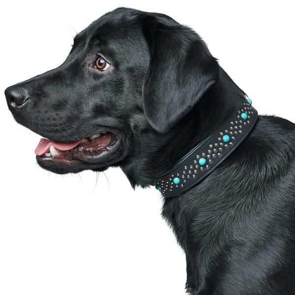 Collier De Chien Hunter Madona En Cuir L- 65 Cm – Image 2