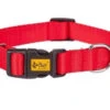 Dingo Collier Pour Chien Avec Fermoir En Plastique Rouge 55cm