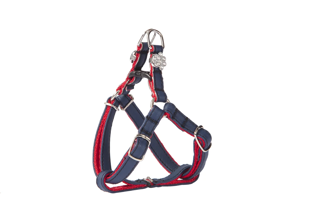 Dingo Harnais New York Pour Petit Chien Bleu Foncé