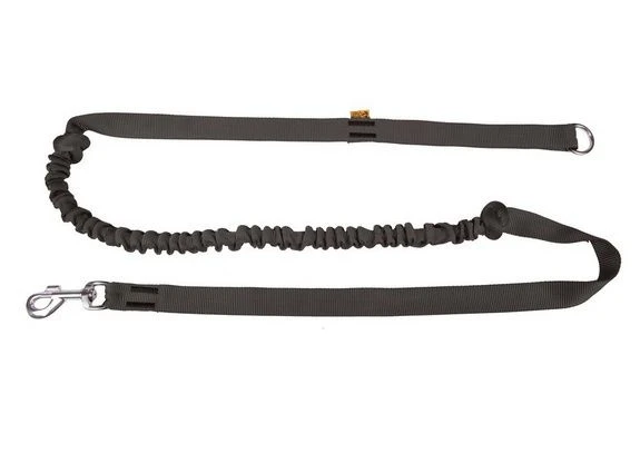 Dingo Laisse Avec Amortisseur Et Poignée Noir 170cm