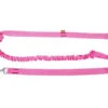 Dingo Laisse Avec Amortisseur Et Poignée Rose 170cm