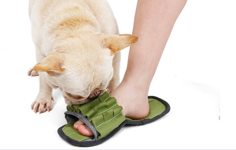 DogLemi Jouet Olfactif PANTOUFLE – Image 2