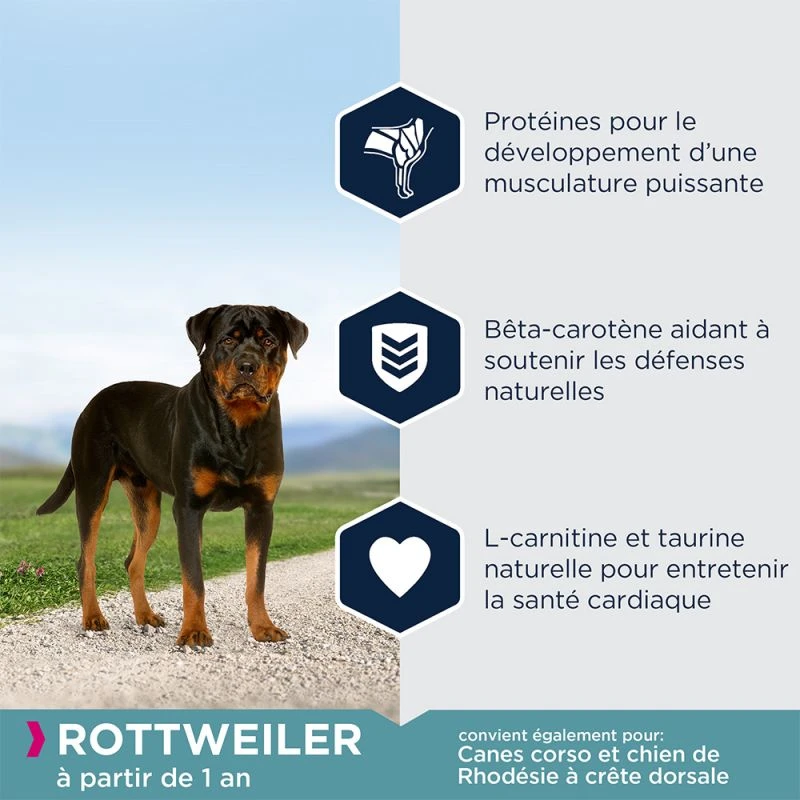 EUKANUBA Breed Specific Rottweiler 12kg – Image 4