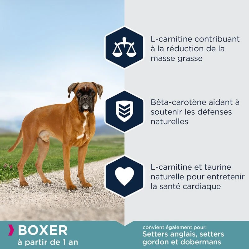Eukanuba Adult Breed Specific Boxer 12kg – Image 4