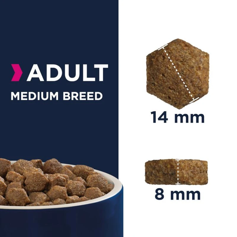 Eukanuba Adult Medium Breed Poulet 15kg+ Surprise Gratuite Pour Votre Chien – Image 4
