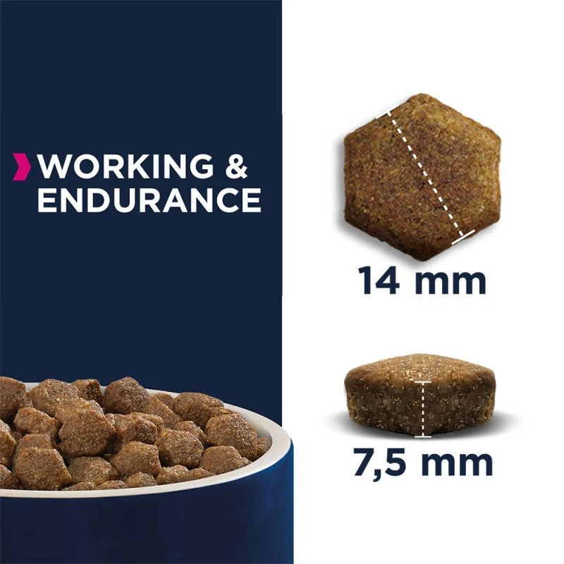 Eukanuba Daily Care Working & Endurance Adult 15kg – Image 2