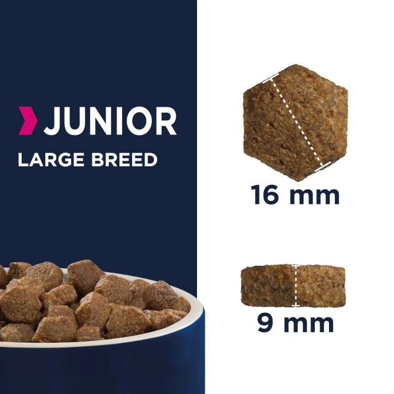 Eukanuba Puppy&Junior Large Breed 15kg – Image 4