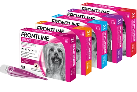 FRONTLINE Tri-Act Pour Chiens 3x6ml – Image 2