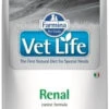 Farmina Vet Life Canine Renal 12kg X2