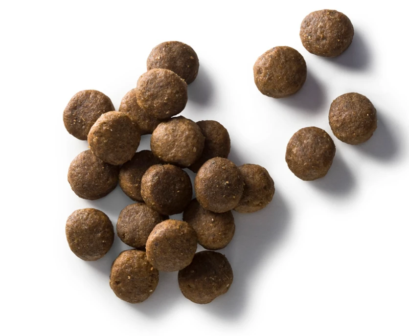 Faunakram Maitenance Adult All Breed 12 Kg – Image 2