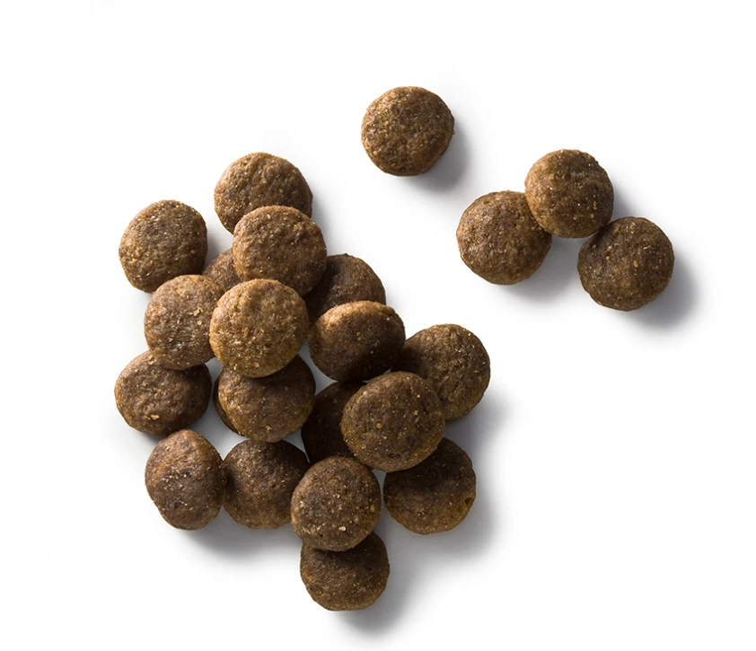 Faunakram Premium Grain Free Dog Salmon 15 Kg – Image 2