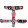 Harnais Pour Chien ZEE DOG Mahalo XS