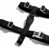 Harnais Pour Chien ZEE DOG NEOPRO - XS