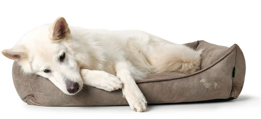 Hunter Bologna Panier Pour Chien Brun S – Image 4