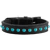 Hunter Modica Collier De Chien En Cuir XS-S- 40 Cm