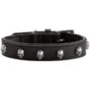 Hunter Mombasa Collier De Chien En Cuir S- 45 Cm