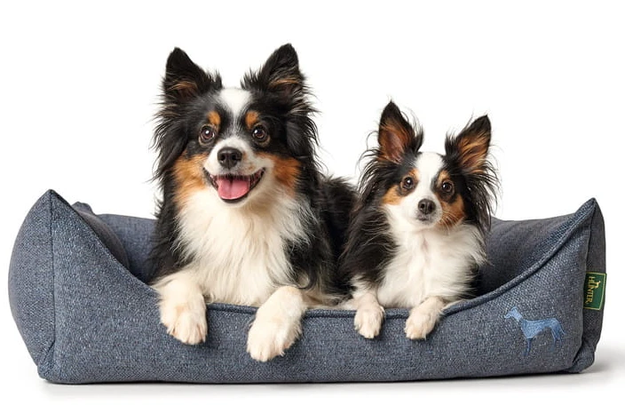 Hunter Prag Easy Clean Panier Pour Chien Bleu Foncé Taille S – Image 3