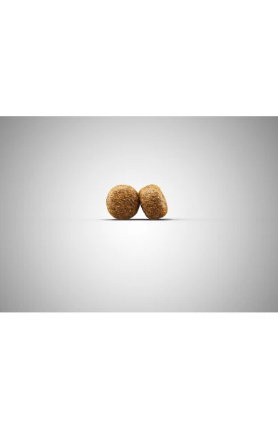 JOSERA Balance Senior/Light 15kg + Surprise Pour Votre Chien GRATUITES ! – Image 2