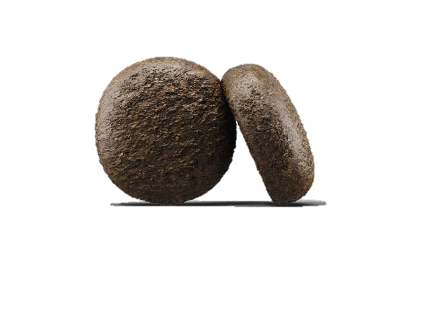 Josera Festival 15 Kg + Surprise Pour Votre Chien GRATUITES ! – Image 3