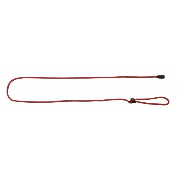 KERBL Laisse GoLeyGo 2.0 Avec Adaptateur Rouge Pour Chien 8mm X 140-200cm, S, Max 15kg