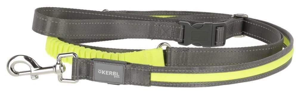 Dingo KERBL Laisse De Course Fluorescente Light & Reflex Jaune 250cm