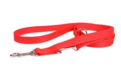 Laisse Réglable DogStuffs - Rouge 15mm/220cm