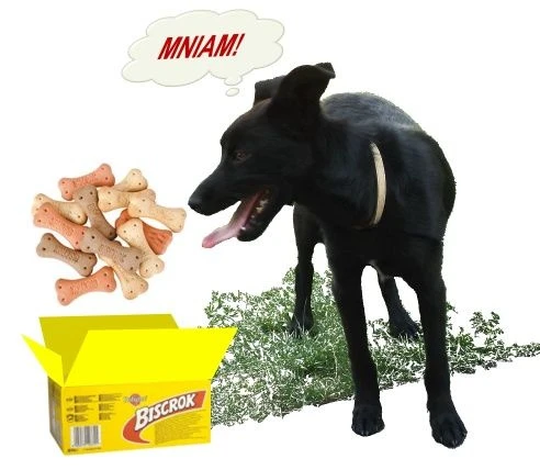 Pedigree Biscrok Biscuits Pour Chiens Adultes Sous Forme D'os Avec De L'agneau, Du Poulet Et Du Bœuf 500g X2 – Image 6