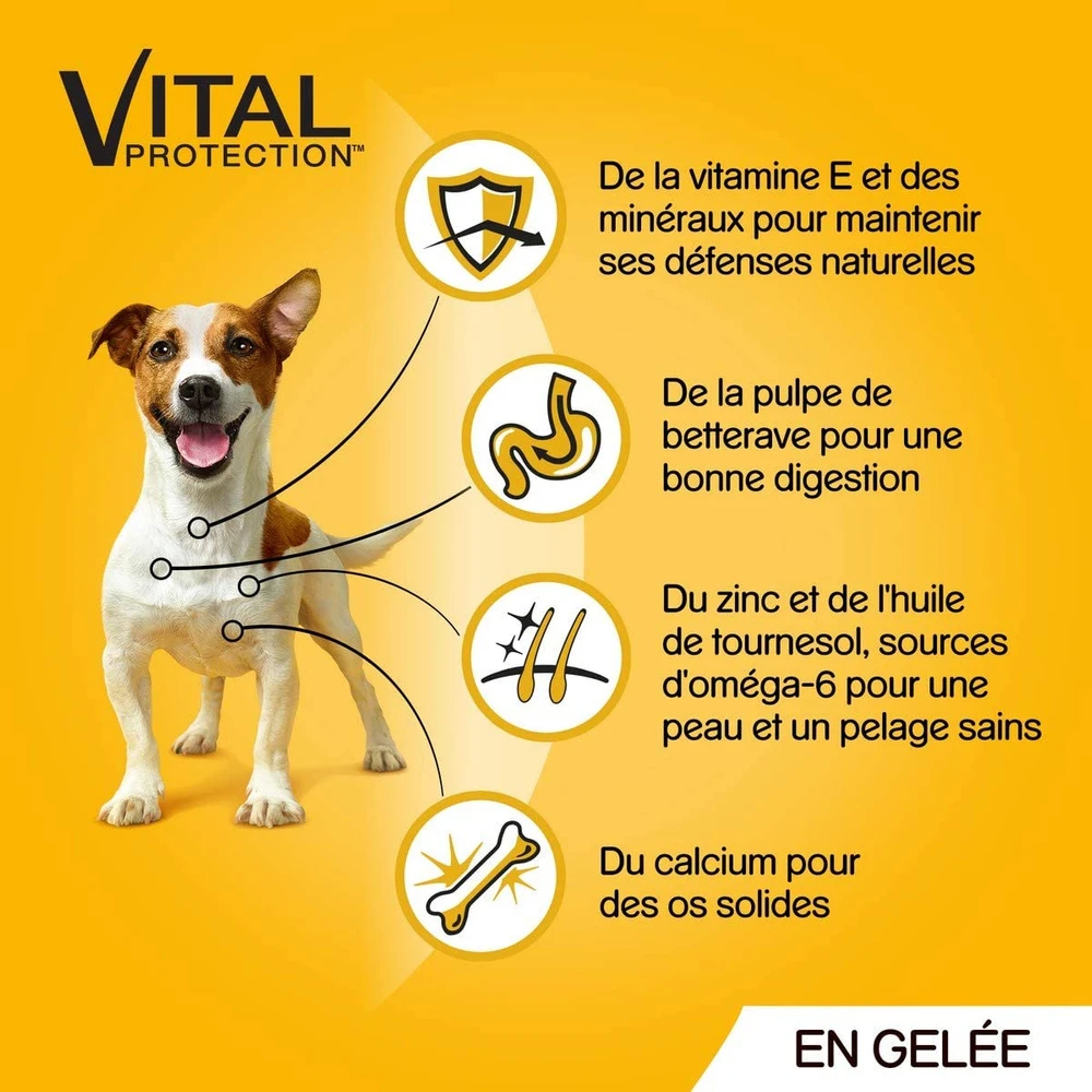 Pedigree Croquettes Humides En Gelée Pour Chiens Adultes Saveurs Variées (boeuf, Poulet, Agneau, Volaille) 40x100g – Image 2