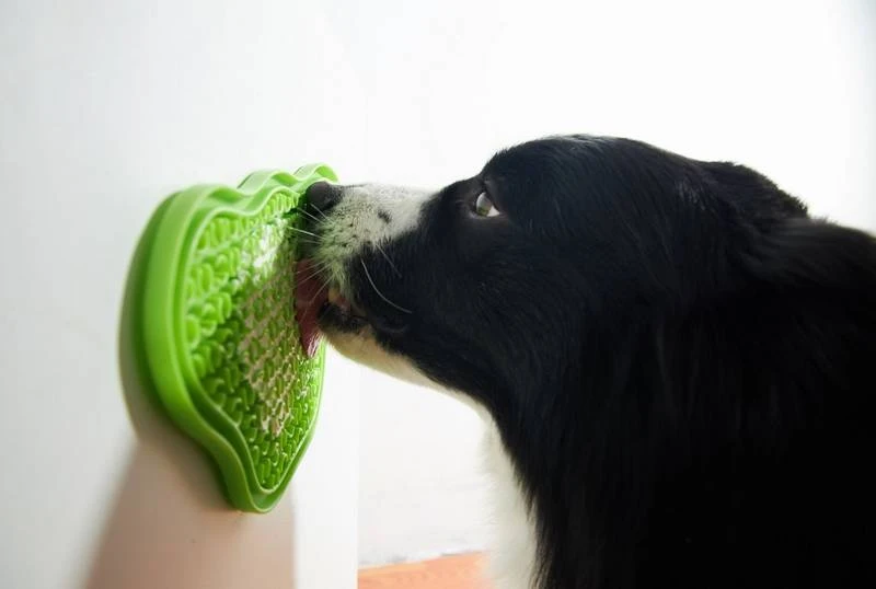 Pet Dream House 2-in-1 Slow Feeding Bowl Orange Eas – Image 3