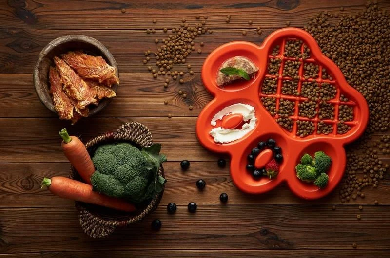 Pet Dream House Bol D'alimentation Lente Orange Easy – Image 2