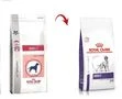 ROYAL CANIN Adult 4kg
