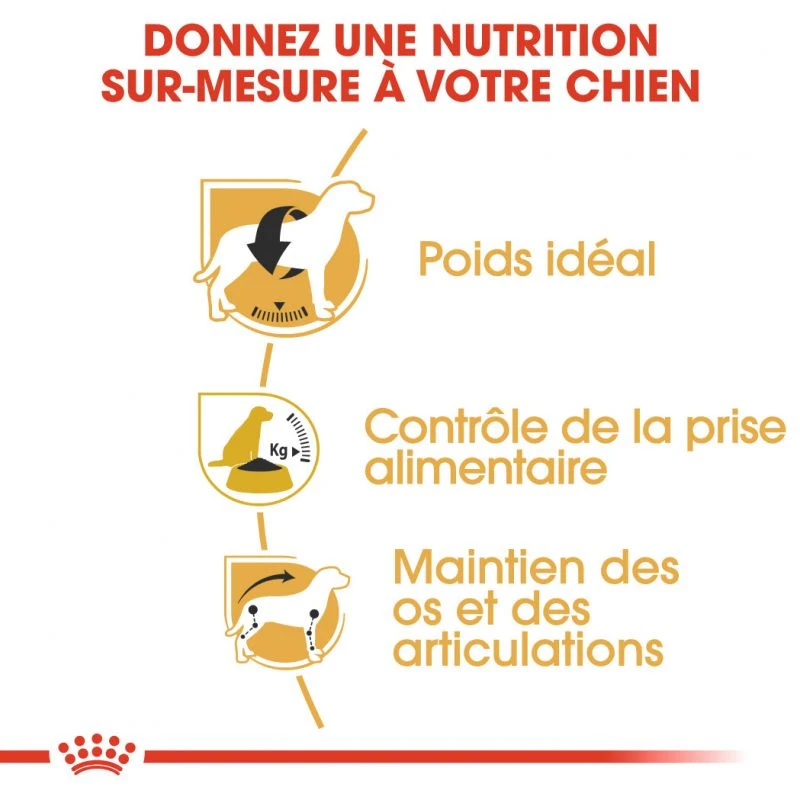 ROYAL CANIN Beagle Adult 12kg – Image 4