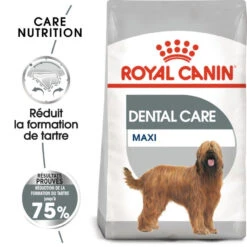 ROYAL CANIN CCN Maxi Dental Care 9kg