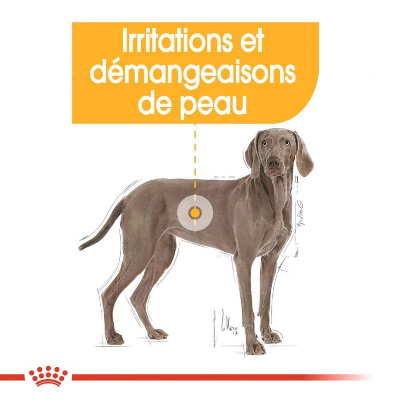 ROYAL CANIN CCN Maxi Dermacomfort 3kg – Image 6