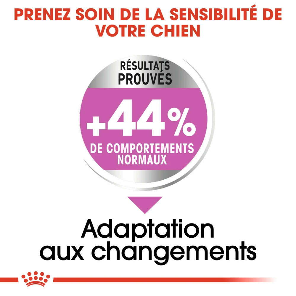 ROYAL CANIN CCN Maxi Relax Care 3kg – Image 2