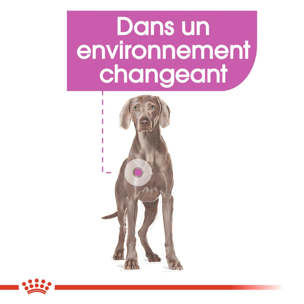 ROYAL CANIN CCN Maxi Relax Care 3kg – Image 4