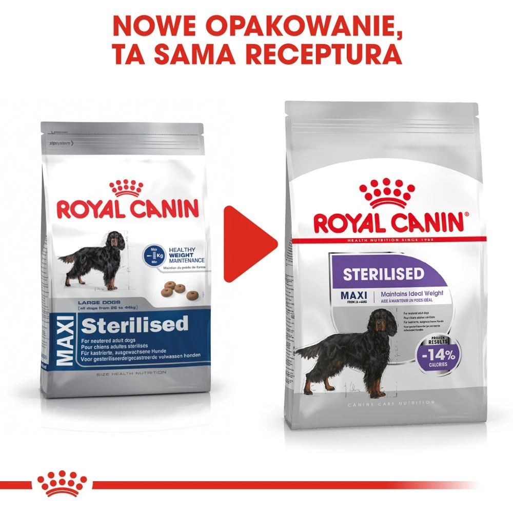 ROYAL CANIN CCN Maxi Sterilised 12kg Nourriture Sèche Pour Chiens Adultes De Grande Race Stérilisés