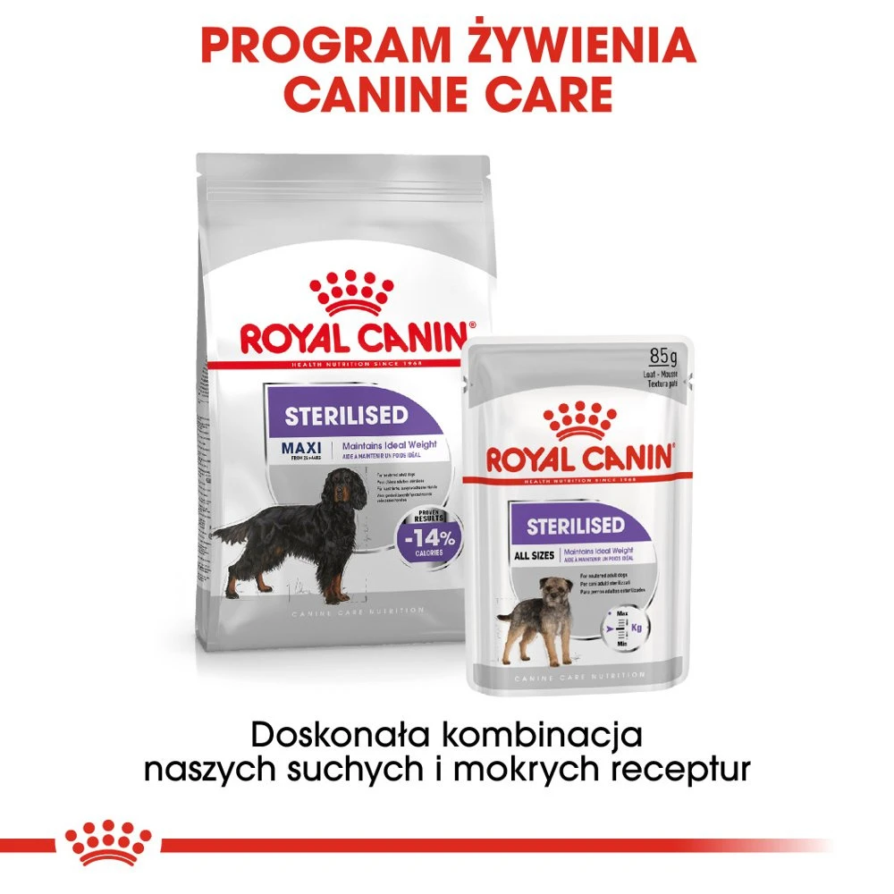ROYAL CANIN CCN Maxi Sterilised 12kg Nourriture Sèche Pour Chiens Adultes De Grande Race Stérilisés – Image 6