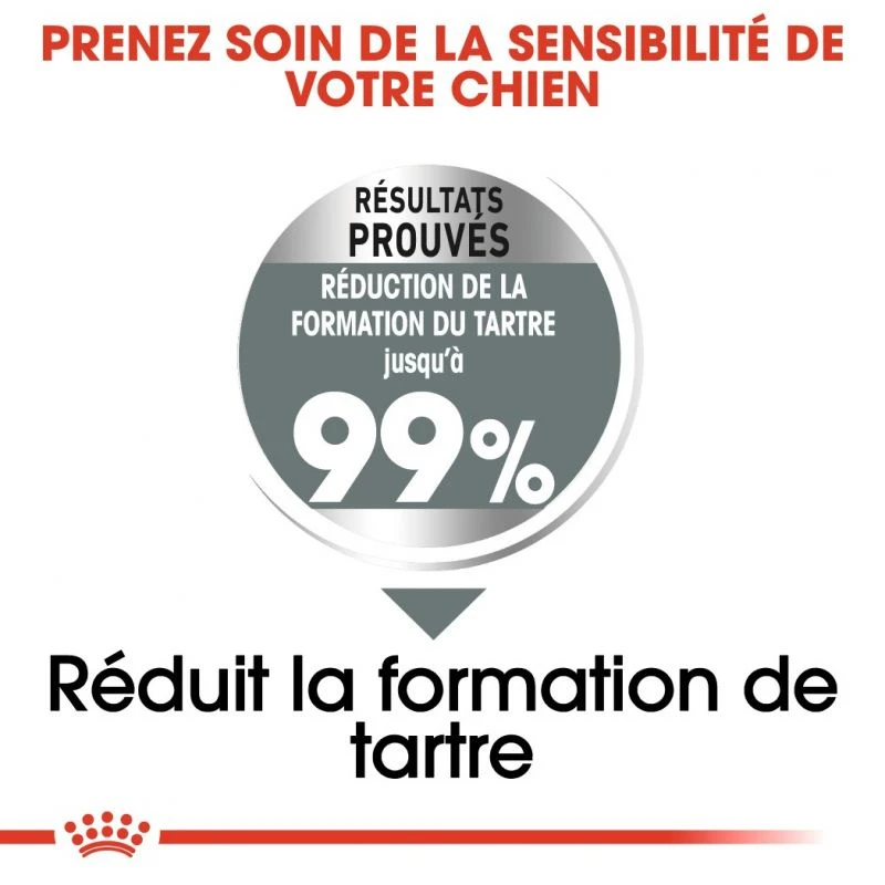 ROYAL CANIN CCN Medium Dental Care 3kg – Image 2