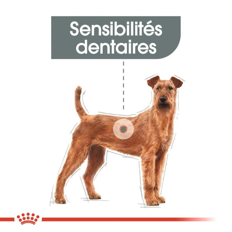ROYAL CANIN CCN Medium Dental Care 3kg – Image 5