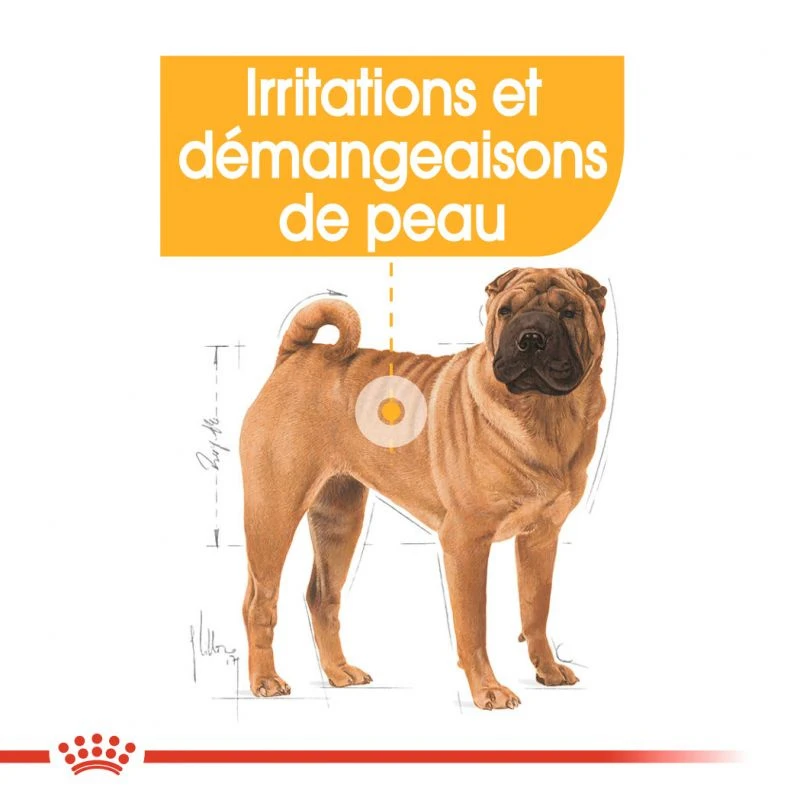 ROYAL CANIN CCN Medium Dermacomfort 3kg – Image 3