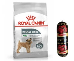 ROYAL CANIN CCN Mini Dental Care 8kg + Hector Gratuit