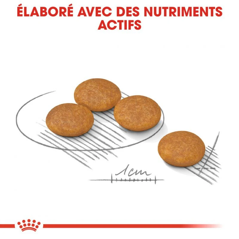 ROYAL CANIN CCN Mini Dermacomfort 1kg + OVER ZOO Délicatesse 100g – Image 3