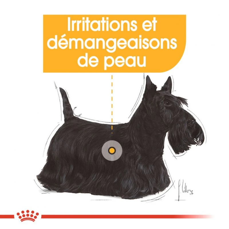 ROYAL CANIN CCN Mini Dermacomfort 3kg + OVER ZOO Délicatesse 100g GRATUIT – Image 5