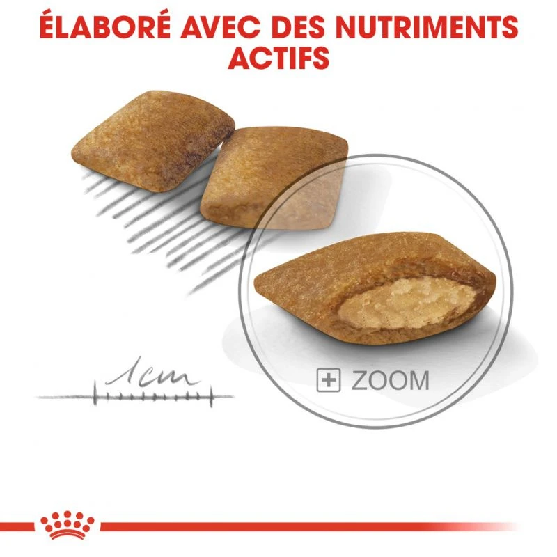 ROYAL CANIN CCN Mini Exigent 3kg – Image 4