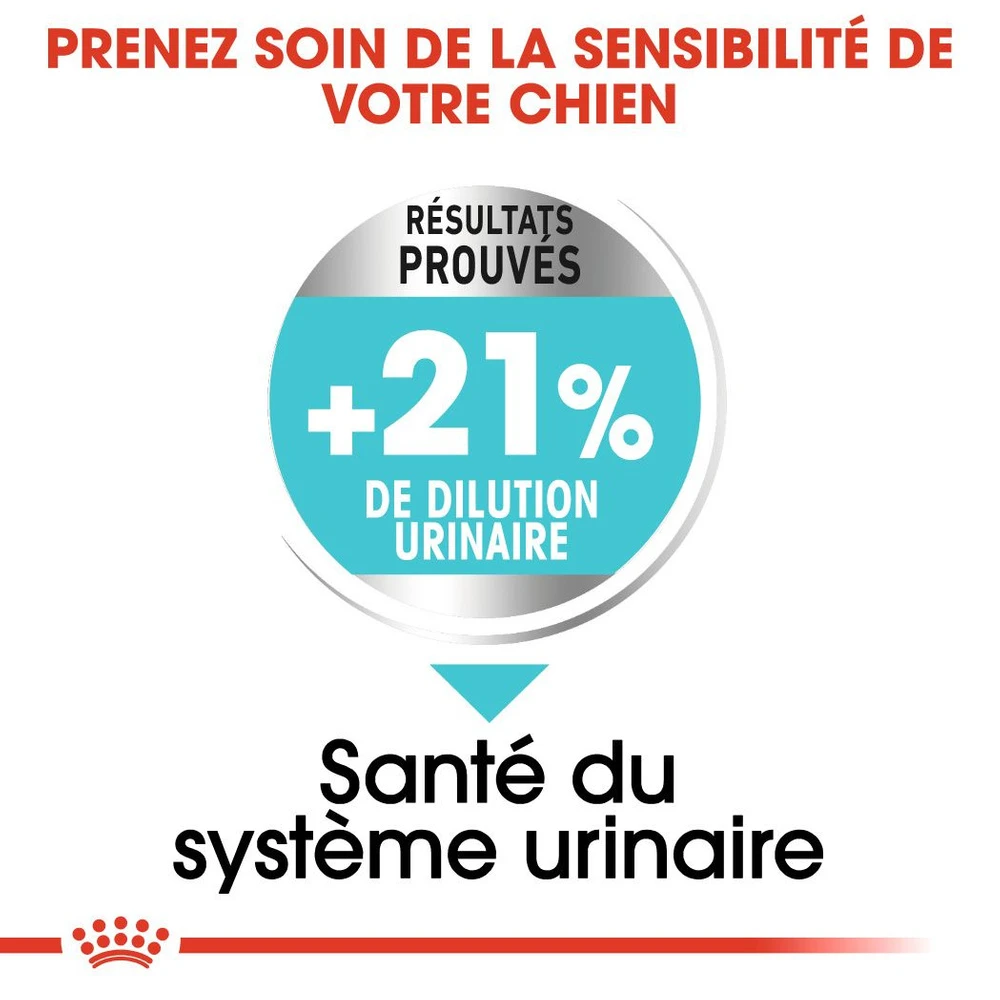 ROYAL CANIN CCN Mini Urinary Care 1kg + OVER ZOO Délicatesse 100g GRATUIT – Image 2